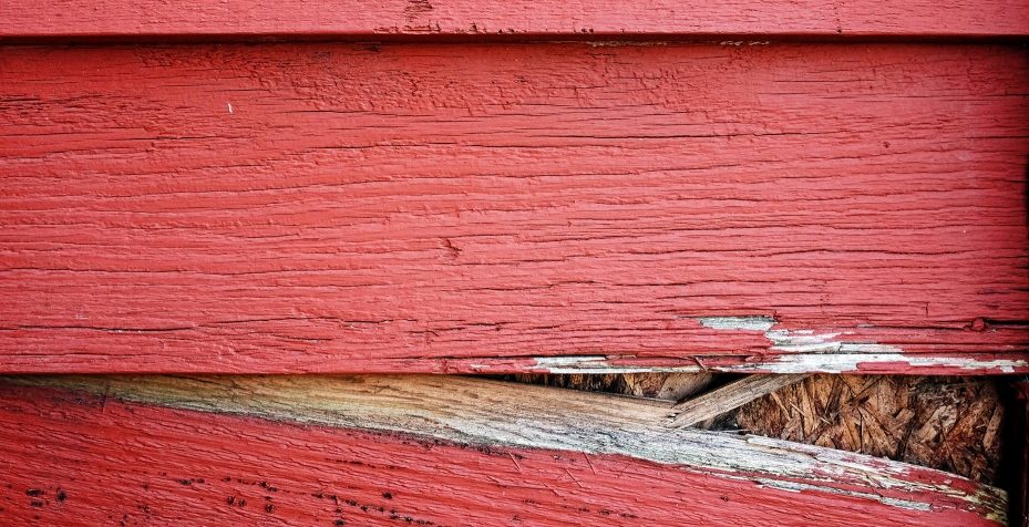 Common exterior issues for Portland homeowners